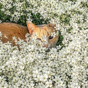 Meet your Posher, Natalia